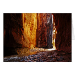 Schönheit der Narrows Zion Nationalpark Utah Blank