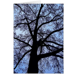 Schönheit der Natur