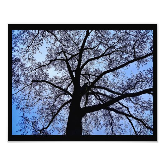 Schönheit der Natur Fotodruck (Vorne)