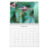 Schönheit der Natur Kalender (Jan 2027)