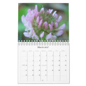 Schönheit der Natur Kalender (Mär 2027)