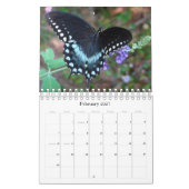 Schönheit der Natur Kalender (Feb 2027)