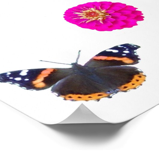 Schönheit der Natur Poster (Ecke)