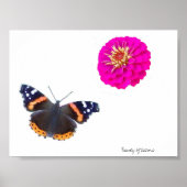 Schönheit der Natur Poster (Vorne)