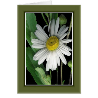 Schönheit der Natur r/c17