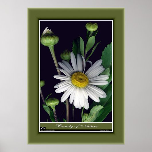 Schönheit der Natur r/p12 Poster (Vorne)