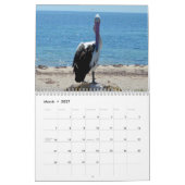 Schönheit der Pelikane 2021, Kalender (Mär 2027)
