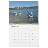 Schönheit der Pelikane 2021, Kalender (Jan 2027)