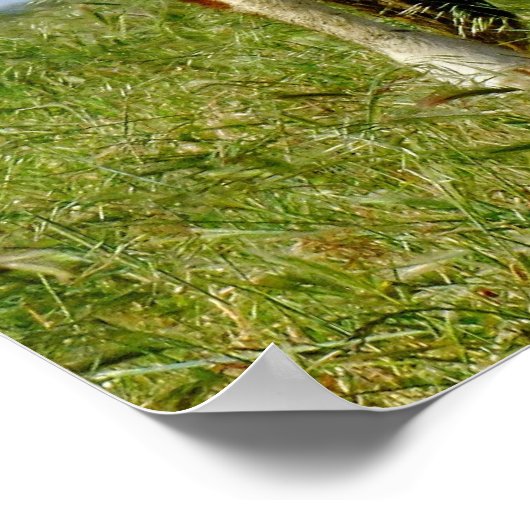 Schönheit der Rinder. Poster (Ecke)