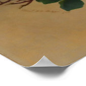 Schönheit der Rose Poster (Ecke)