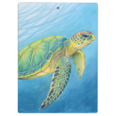 Schönheit der Schildkröte Klemmbrett (Rückseite)