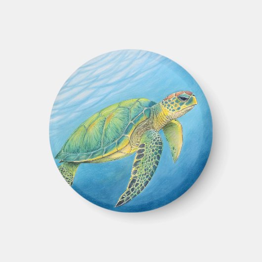 Schönheit der Schildkröte Magnet (Vorne)