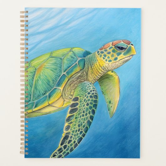 Schönheit der Schildkröte Planer (Vorderseite)