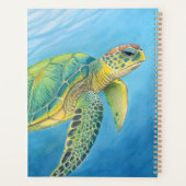 Schönheit der Schildkröte Planer (Rückseite)