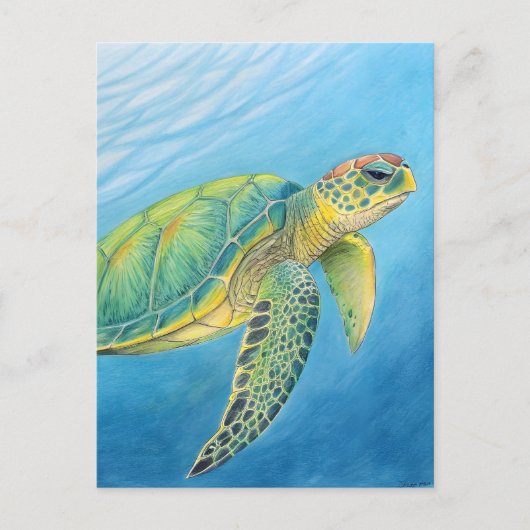 Schönheit der Schildkröte Postkarte (Vorderseite)