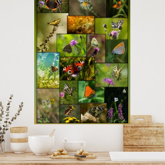 Schönheit der Schmetterlinge Poster (Küche)