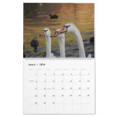 Schönheit der Schwäne Kalender (Mär 2026)