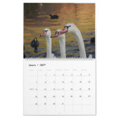 Schönheit der Schwäne Kalender (Mär 2027)