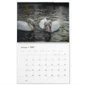 Schönheit der Schwäne Kalender (Jan 2027)