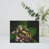 Schönheit der Sterne Postkarte (Stehend Vorderseite)