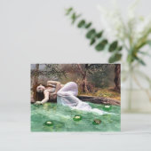 Schönheit der Wasserlilie Postkarte (Stehend Vorderseite)