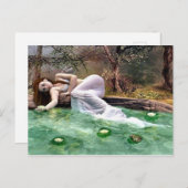 Schönheit der Wasserlilie Postkarte (Vorne/Hinten)