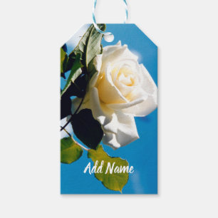 Schönheit der weißen Rose unter blauem Himmel Geschenkanhänger