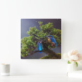 Schönheit der Wildnis - Kingfisher und Bonsai Quadratische Wanduhr (Zuhause)