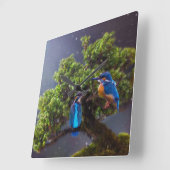 Schönheit der Wildnis - Kingfisher und Bonsai Quadratische Wanduhr (Winkel)