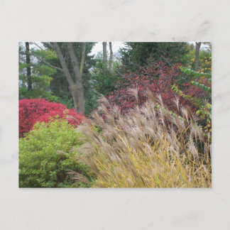 Schönheit des Herbstes in Ohio Postkarte