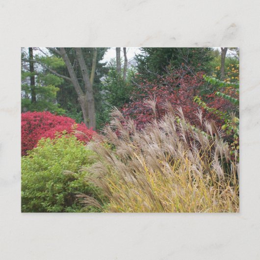 Schönheit des Herbstes in Ohio Postkarte (Vorderseite)