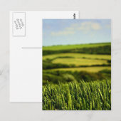Schönheit des Lebens Postkarte (Vorne/Hinten)
