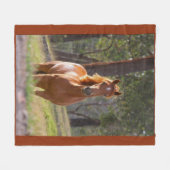 Schönheit des Pferds Fleecedecke (Vorderseite (Horizontal))