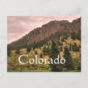 Schönheit des Pinienwaldes, Colorado Postkarte