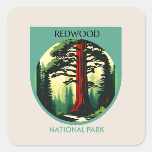 Schönheit des Redwood-Nationalparks in Kalifornien Quadratischer Aufkleber