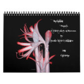 Schönheit (eine Röntgenstrahlstudie der Blumen) Kalender (Titelbild)