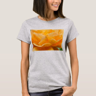 Schönheit eines farbenfrohen T - Shirt in der Rose