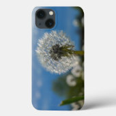 Schönheit eines Kronleuchters Case-Mate iPhone Hülle (Rückseite)