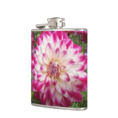 Schönheit Flachmann (Links)