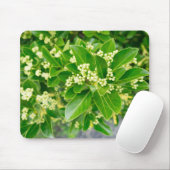 Schönheit grüner Pflanze Mousepad (Mit Mouse)