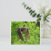 Schönheit im Flug Postkarte (Stehend Vorderseite)