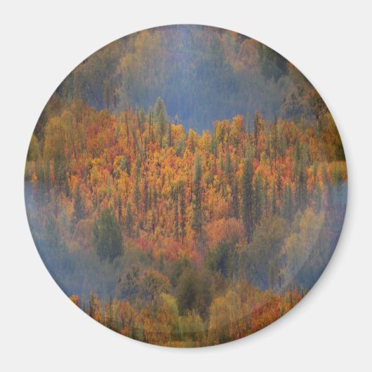 Schönheit im Herbst. Magnet (Vorne)