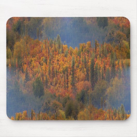 Schönheit im Herbst.... Mousepad (Vorne)