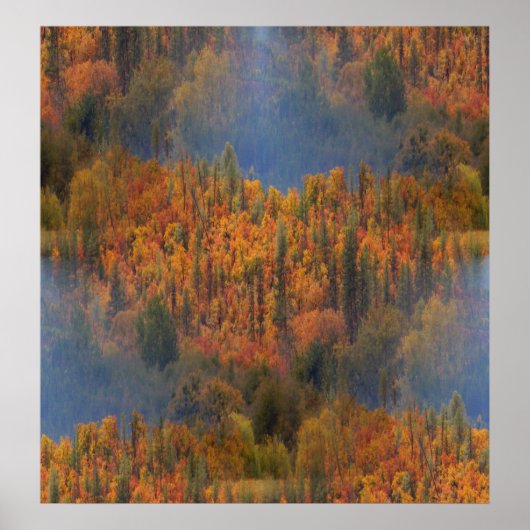 Schönheit im Herbst.... Poster (Vorne)