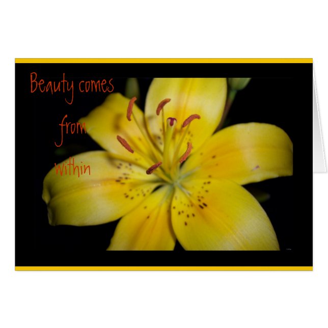 Schönheit im Inneren (Vorderseite (Horizontal))