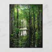 Schönheit im Marsch Postkarte (Vorderseite)