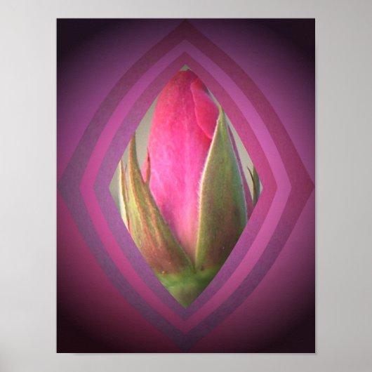 Schönheit im Schatten Poster (Vorne)