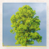 Schönheit im Sturm Glasuntersetzer (Vorderseite)