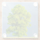 Schönheit im Sturm Glasuntersetzer (Rückseite)