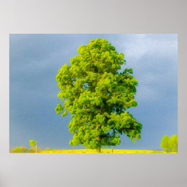 Schönheit im Sturm Poster